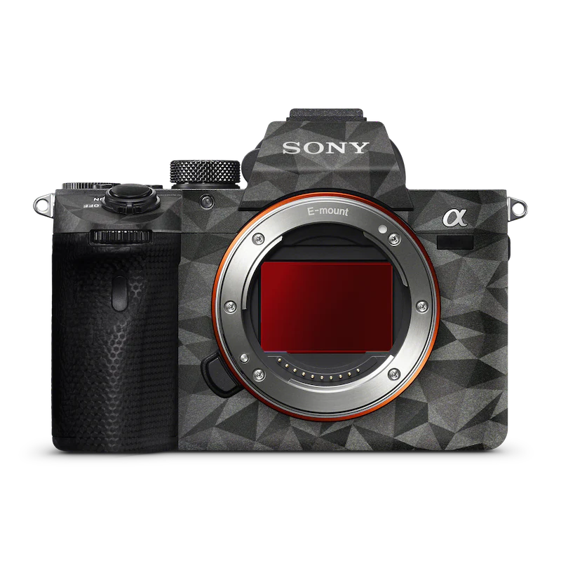 SONY RX10 IV M4 Camera Skin - Image 17